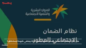 متى ينزل الضمان الاجتماعي المطور لشهر ديسمبر 2025 وماهي شروط الإستحقاق؟